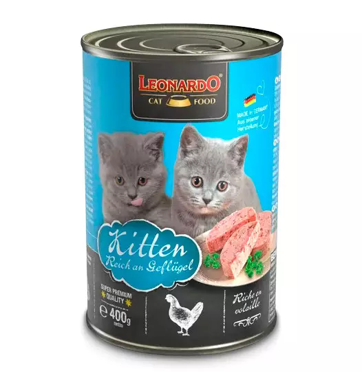 Leonardo Lata Gato Kitten Ave