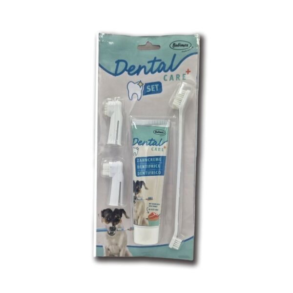Kit Dental Dental Care