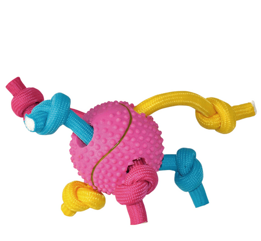 342150154047-2 Pelota Con Cuerdas