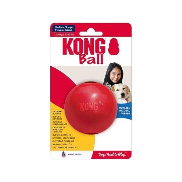 Kong Ball Medium Resistente