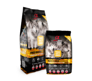 IMG_1202 The Only One - Aves de corral (Poultry) by Alpha Spirit