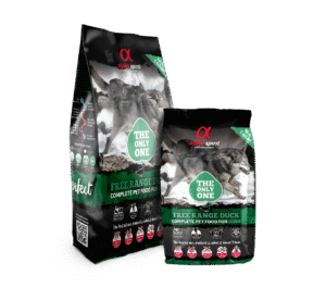 IMG_1203 The Only One - Pato by Alpha Spirit