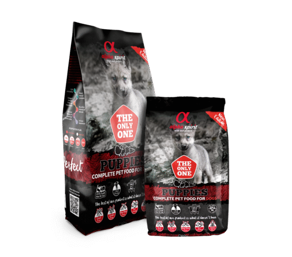 IMG_1204 The Only One - Puppies by Alpha Spirit