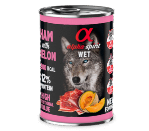 Comida Húmeda de Jamón con Melón by Alpha Spirit