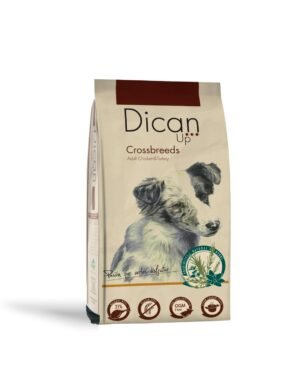 Imagen de WhatsApp 2025-10-16 a las 11.14.39_b0880148 Dican Up Crossbreeds Adulto