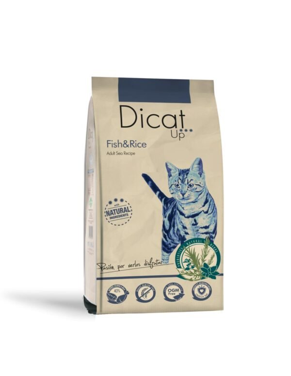 Dicat Up Fish & Rice