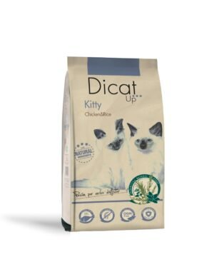 Dicat Up Kitty