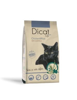 Dicat Up Chicken & Rice