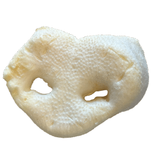 MORRO Morro De Cerdo