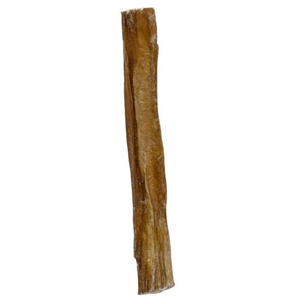 NERVIO DE TORO Nervio De Toro