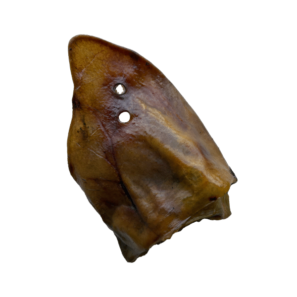 OREJA CERDO Oreja De Cerdo Ibérico