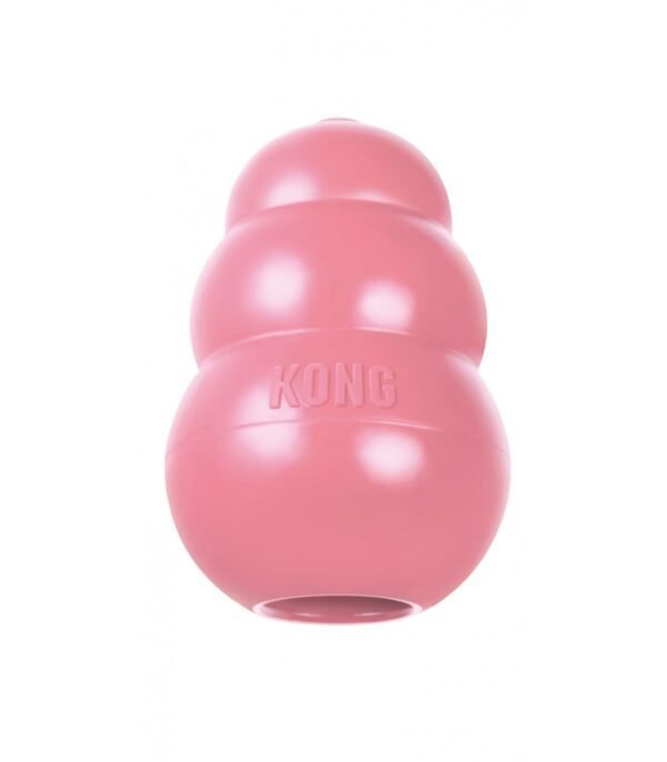 Kong Puppy